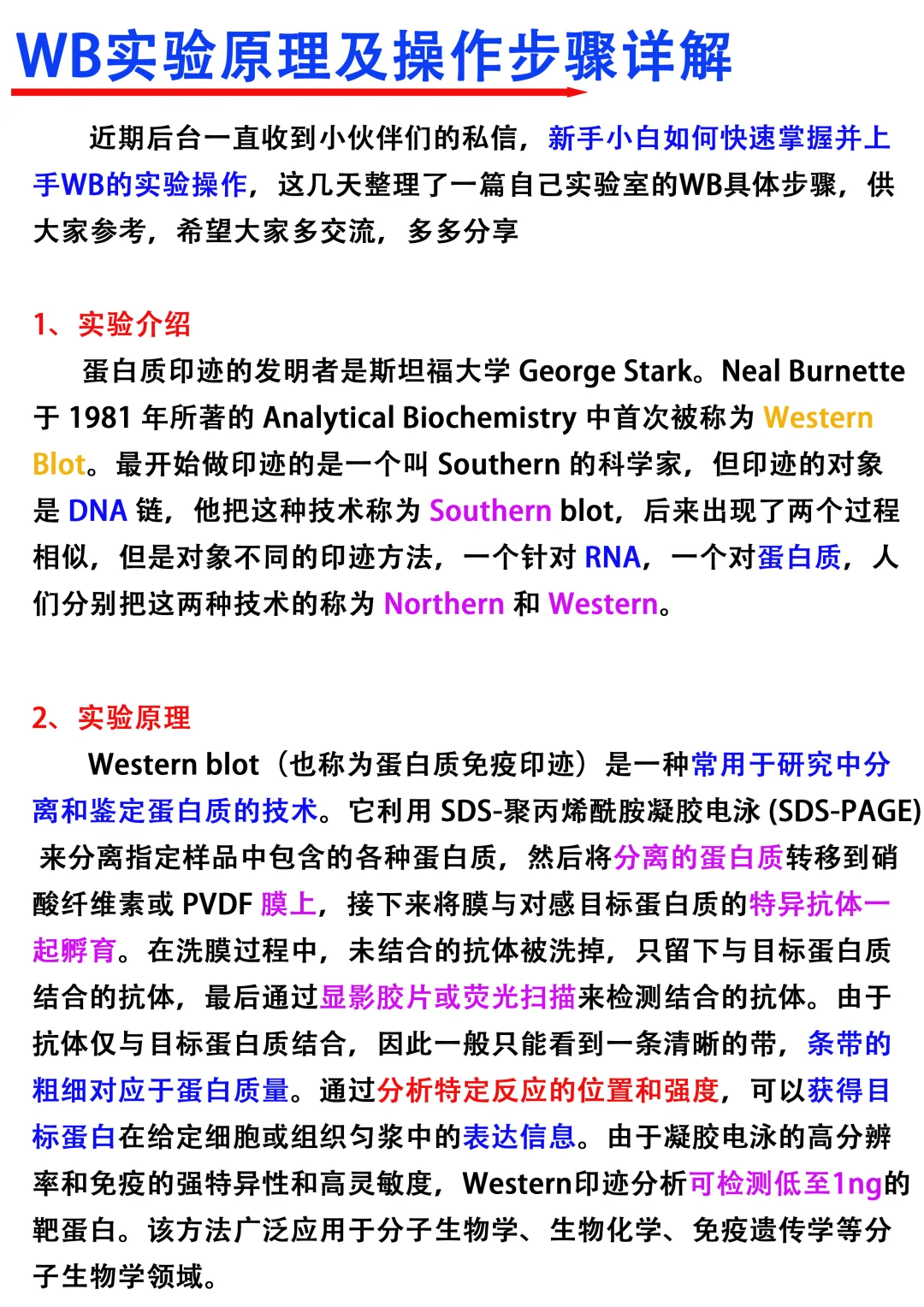 WB经验分享|如何在一张整膜上孵多个抗体