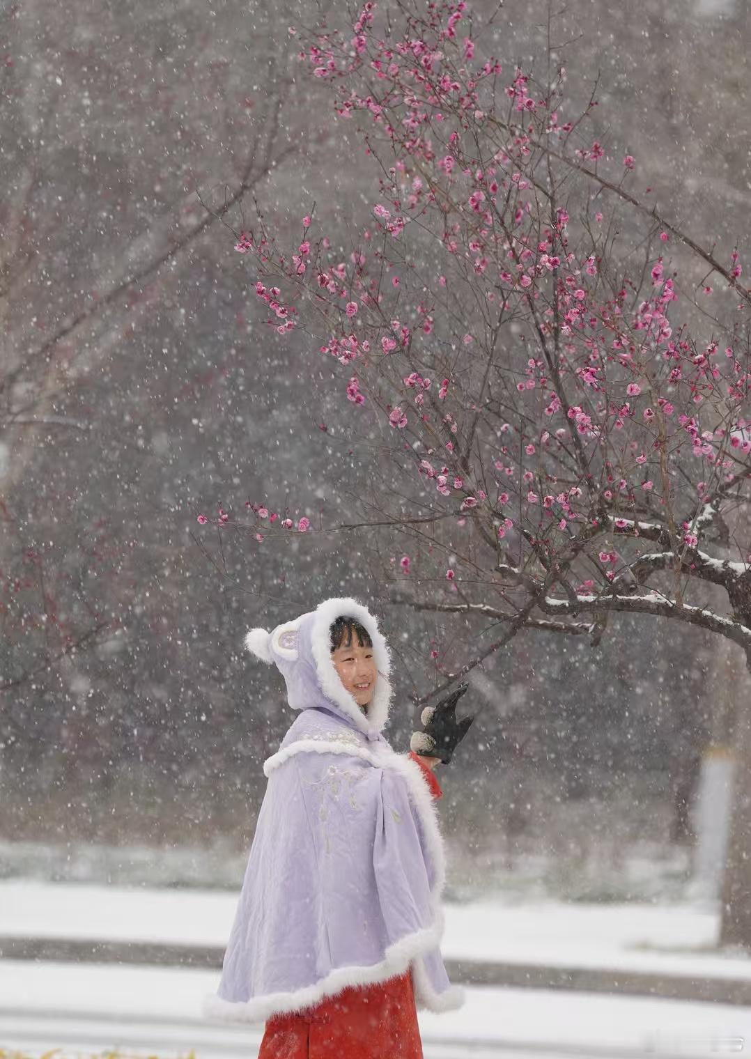 河南下雪后有多冷大寒 寒气逆极，静待春生 