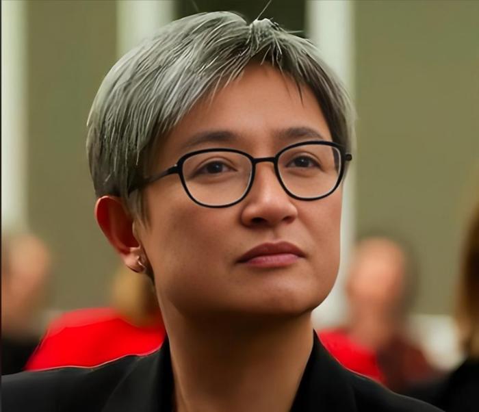 澳大利亚对我们进行点名警告！7月21日，澳大利亚外长黄英贤在马尼拉出席亚细安外长