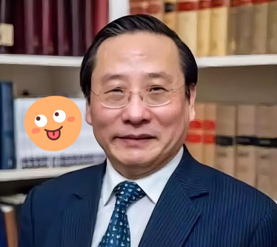 国际学术会议上演“沉默的较量”！
欧美专家瞬间哑口无言
​​​高志凯先生用流利的