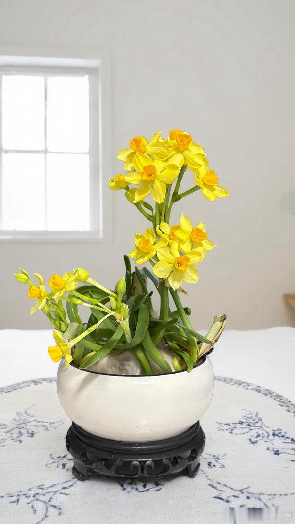 今日水仙花昨天龙岩乘坐动车回来，小外孙女去接我，这是她第一次开车接我，新手上路车