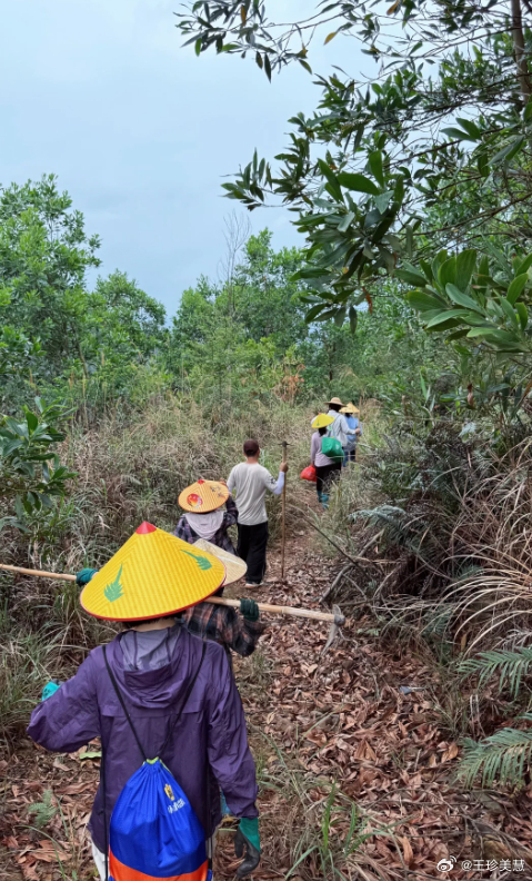 听说两广地区祭祖堪比户外徒步的强度，真的假的两广地区的祭祖有多夸张