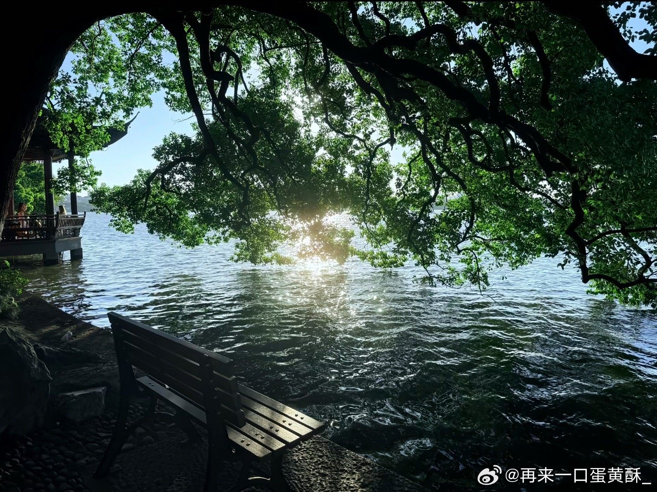 西湖｜淡妆浓抹总相宜 ​​​