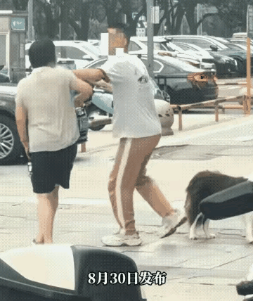 遛狗不拴绳，咬完人就想溜？这次她真走不掉了！

那天下午，小区门口，一个穿着粉色