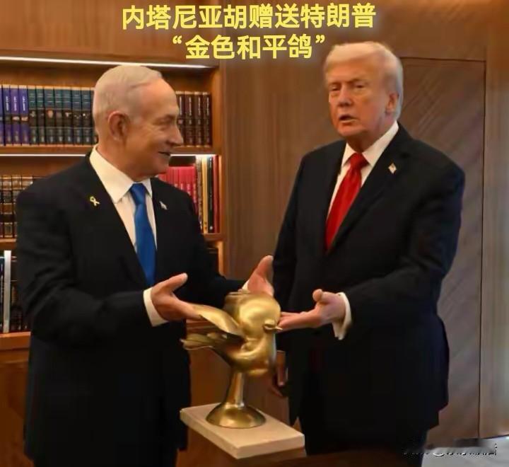 投其所好，内塔尼亚胡赠送特朗普“金色和平鸽”。内塔尼亚胡知道，虽然特朗普为结束加