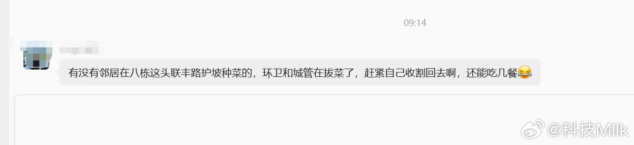 没想到真有人在小区附近种菜呢~~中国人真是把种菜这个事写进基因了。 ​​​