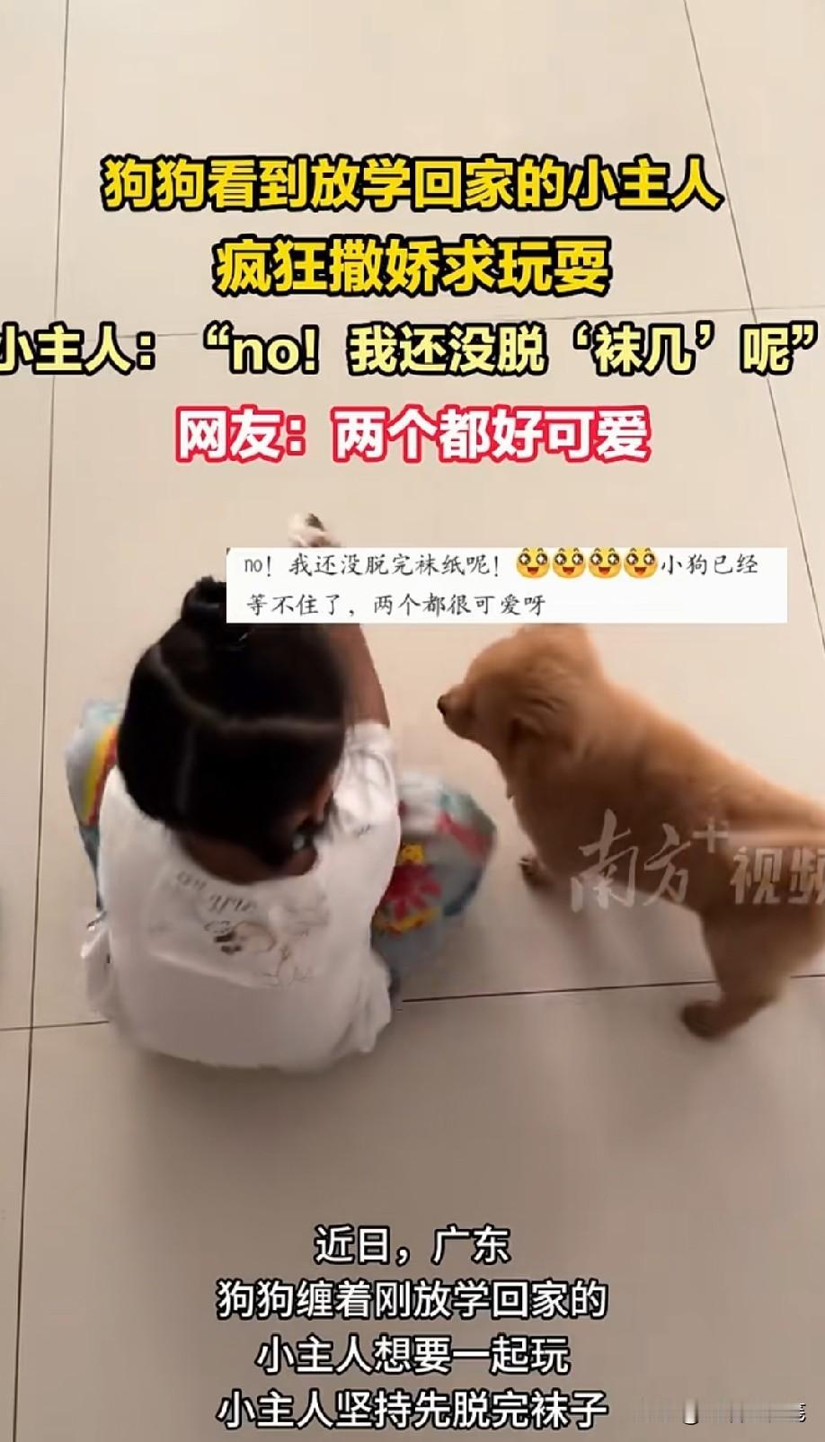 在最可爱的年纪相遇，可爱加倍[啤酒]