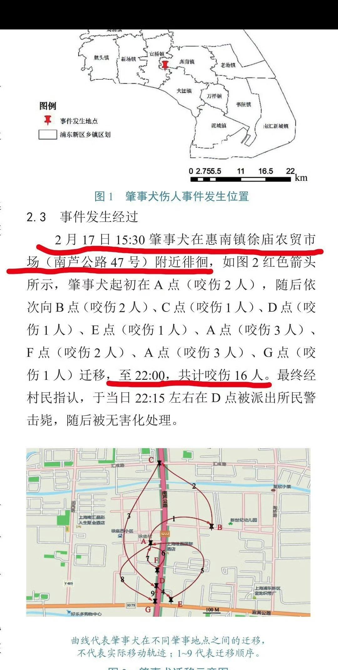 抖音评论区都是当笑话看。可悲可怜。每年大城市被流浪狗咬伤、狂犬病毒暴露的人数是一