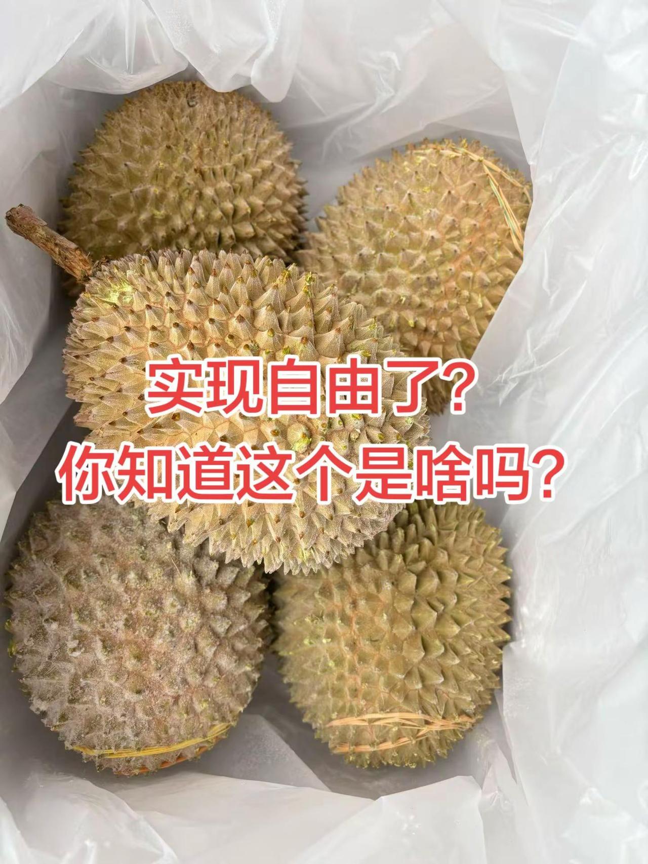 榴莲 实现水果自由🍒🍏🍊🍌