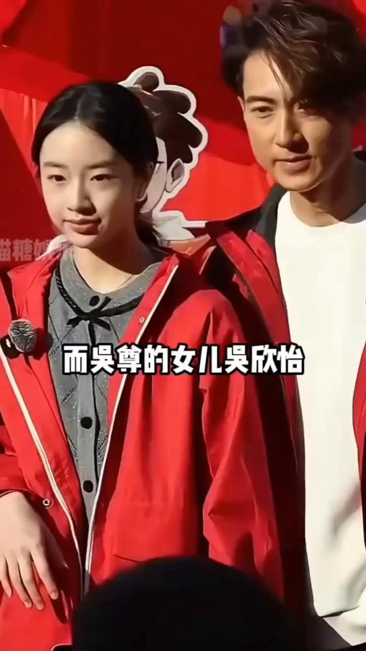 萌娃现状。
爸爸回来了，播出12年后，再看当初可爱圈粉的萌娃们，长大后的他们如今