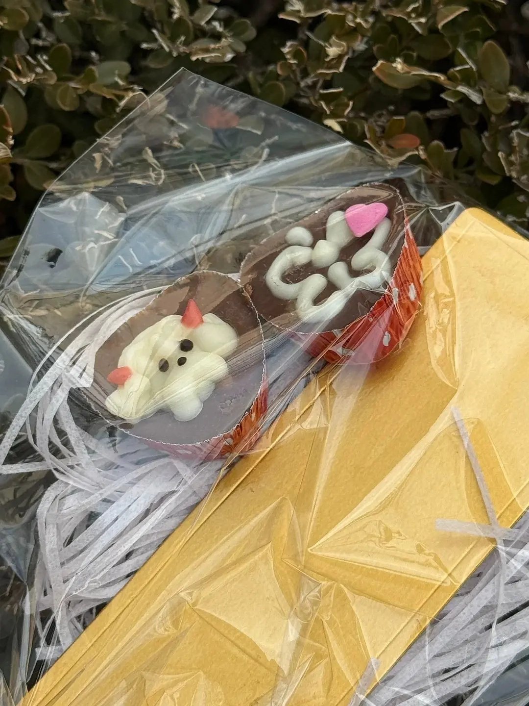 今天芙逆应援是直井怜亲手烤的甜点，巧克力上每个都画了不同图案….rei的小狗保时