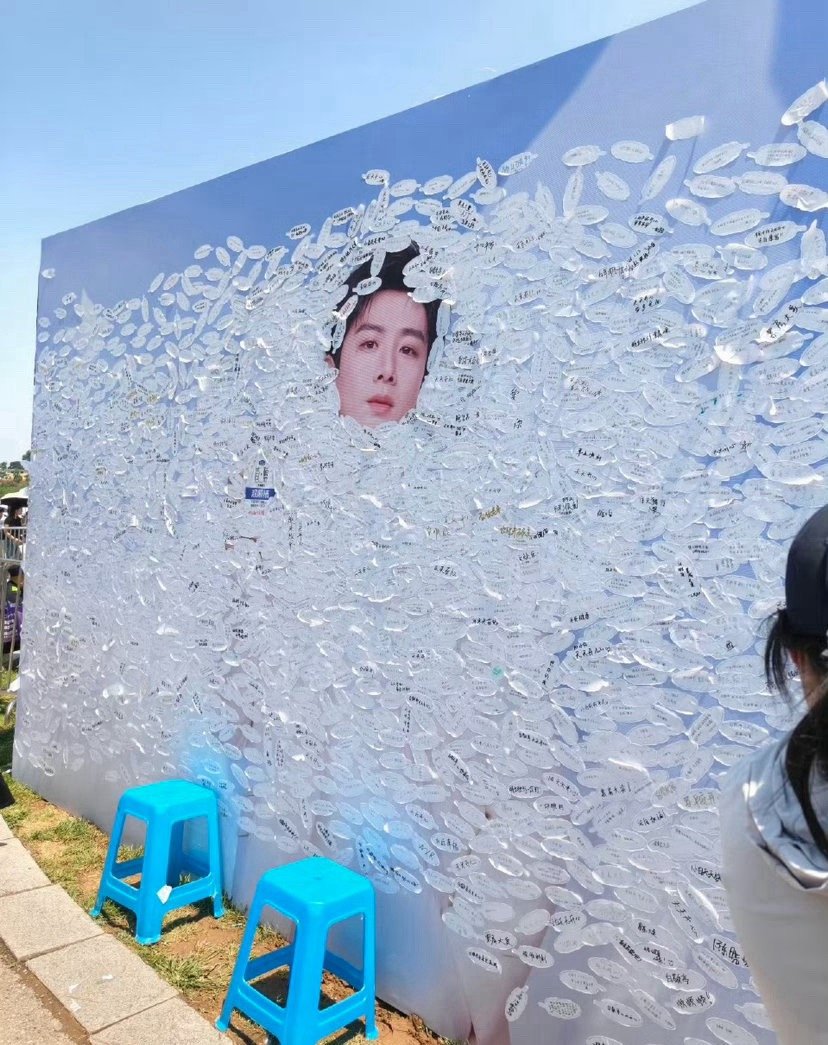 白敬亭号召力太强了，来了好多的白鸽，白敬亭就是顶流！！！小白就这样被白鸽的爱包围