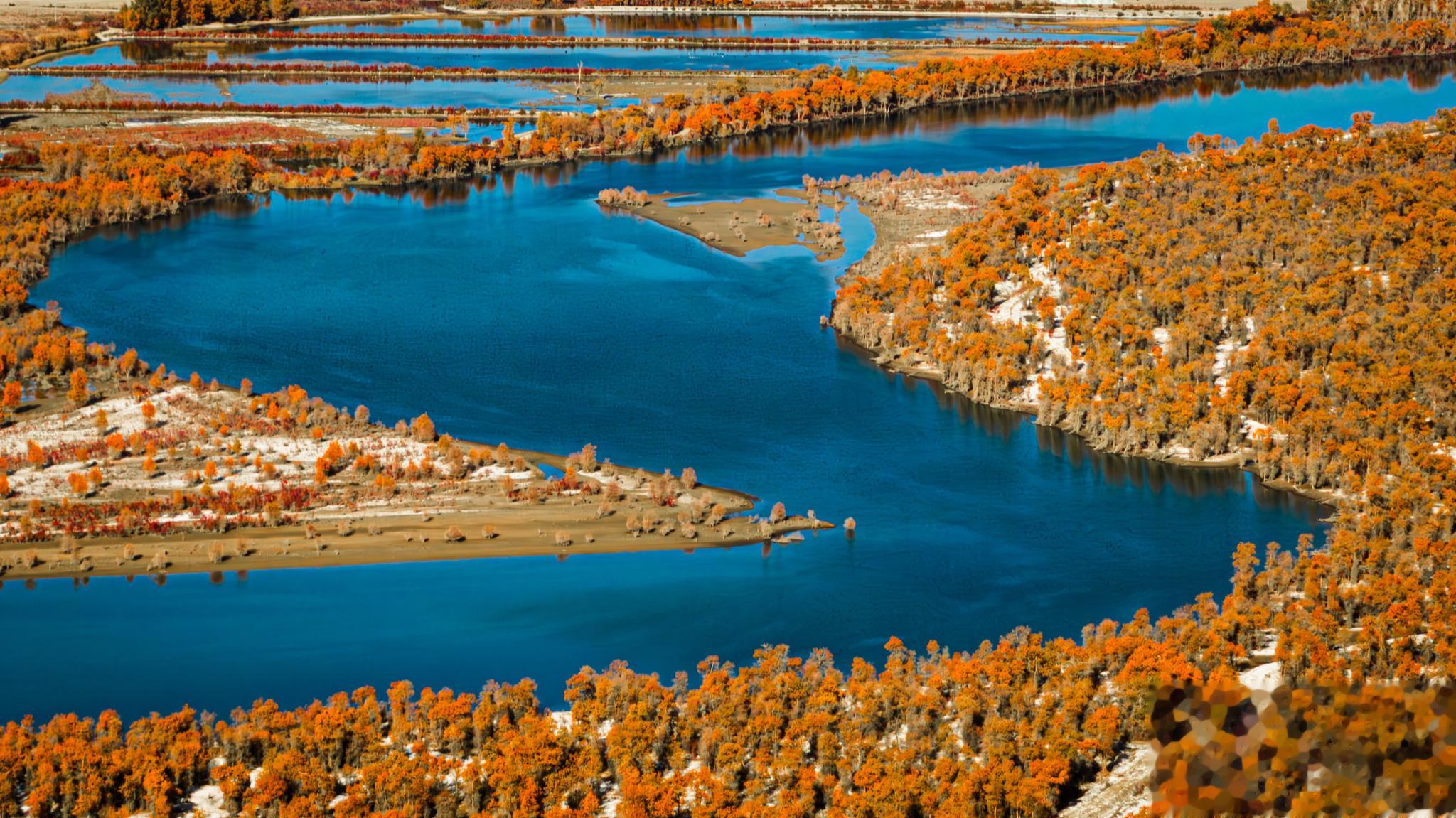 塔里木河 新疆｜沙雅#大美新疆#  