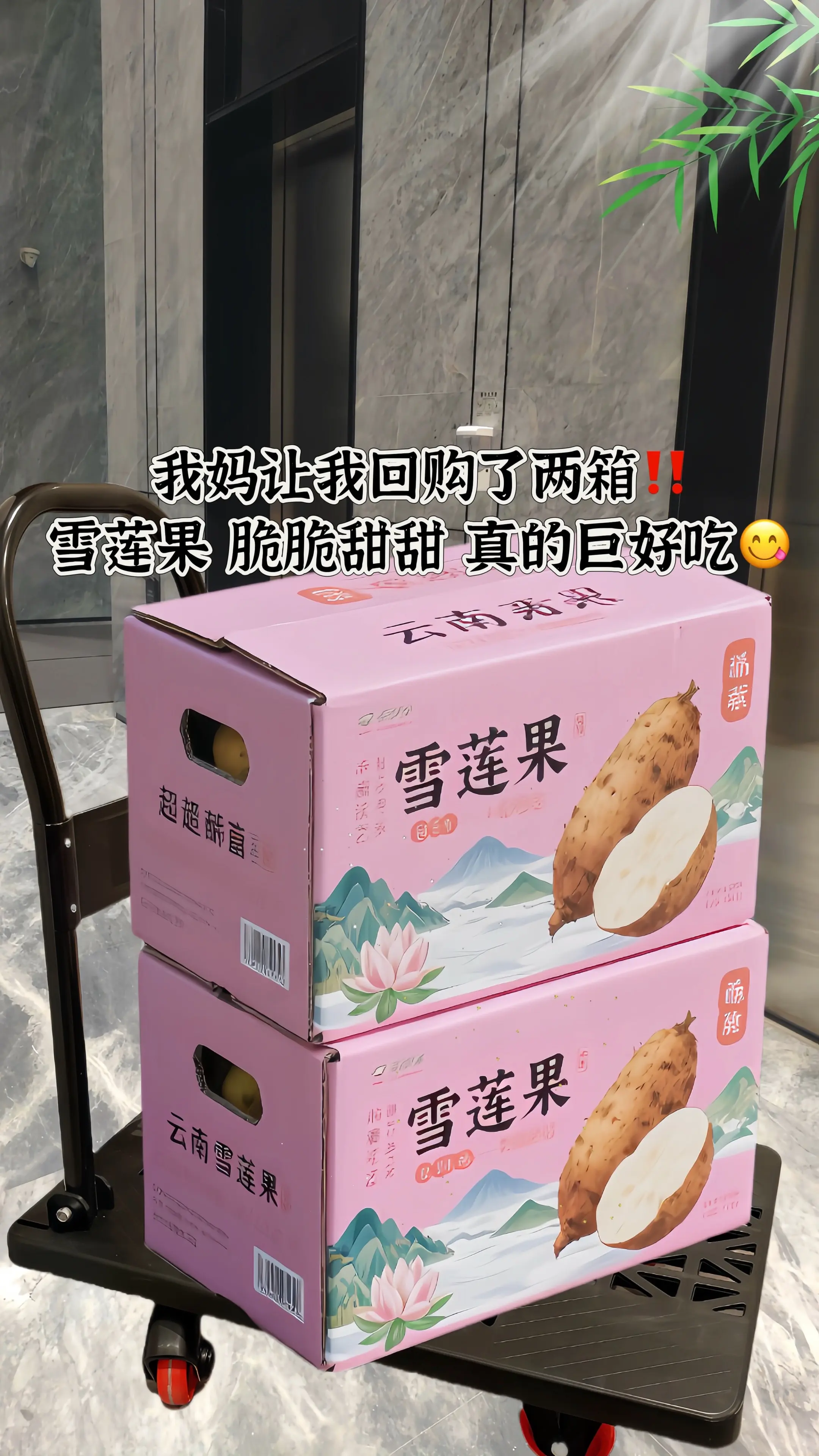 有“地下雪梨”美称的雪莲果，清脆爽口，一口开始冰爽清甜！外表朴实，内里...