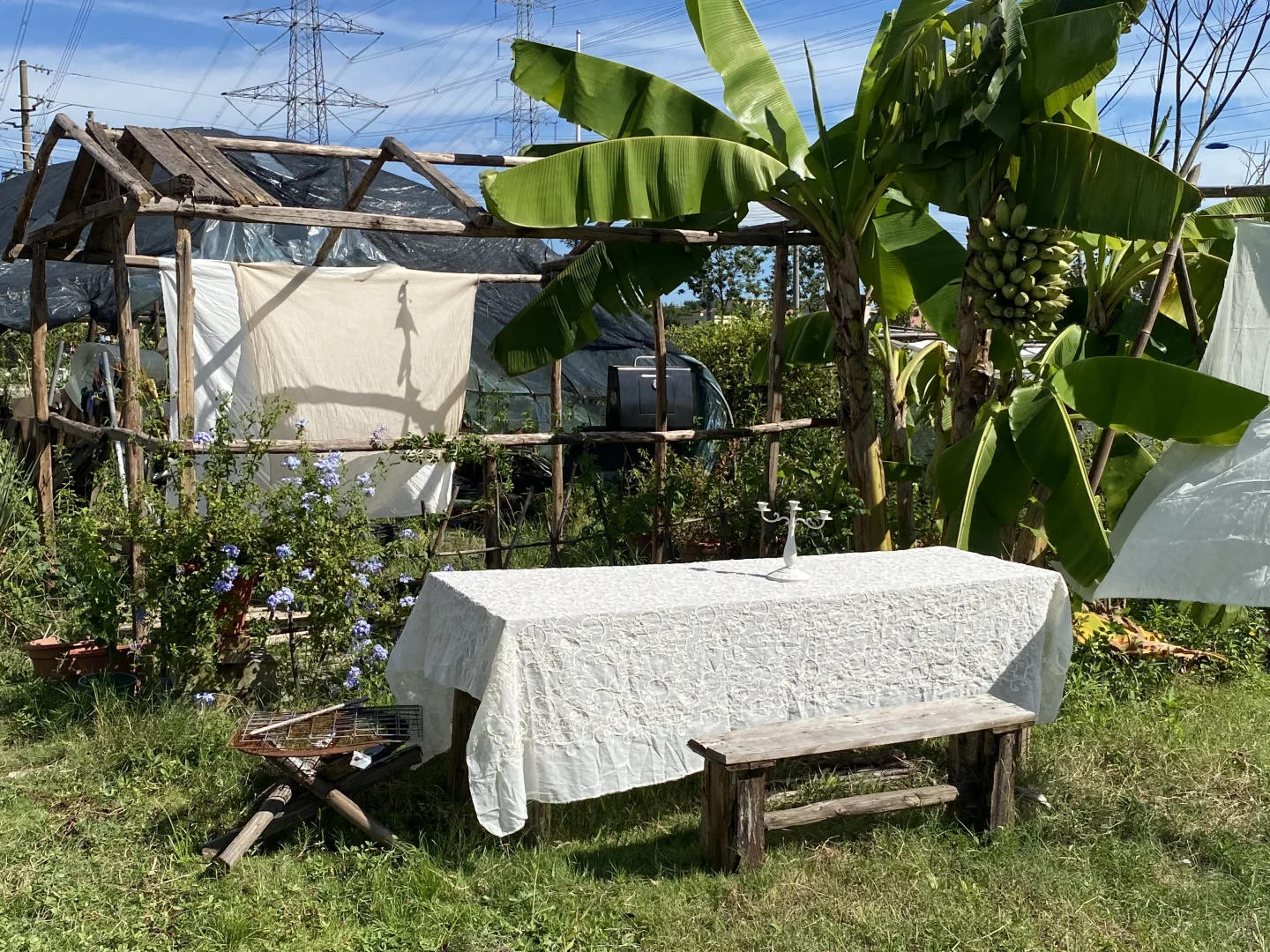 又搭了一个小木屋🏡