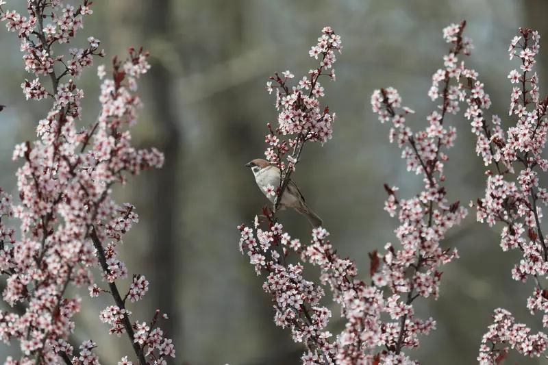 一年四季景色各有千秋，很难说谁最美。我以前最爱春天，它像元气小太阳，唤醒世界。草