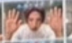 大眼别限流了 