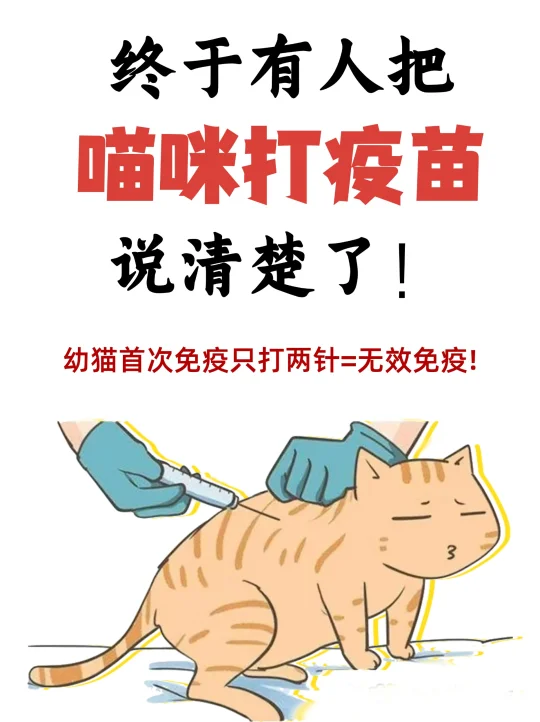 终于有人把猫咪打疫苗说清楚了！