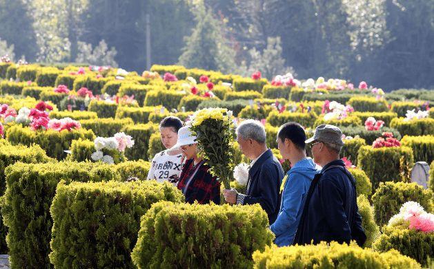 清明时节，苏州人家讲究“全家出动”，带孩子“上坟”，这不仅是祭扫，更是一场深刻的