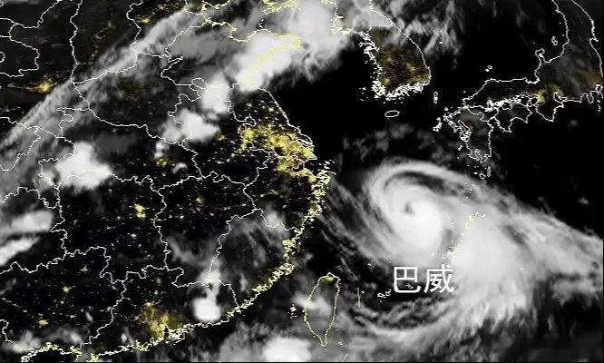 台风“巴威”拐了个弯，江浙沪的囤货大军白忙一场，但有些人心里刮起的“台风”，比天