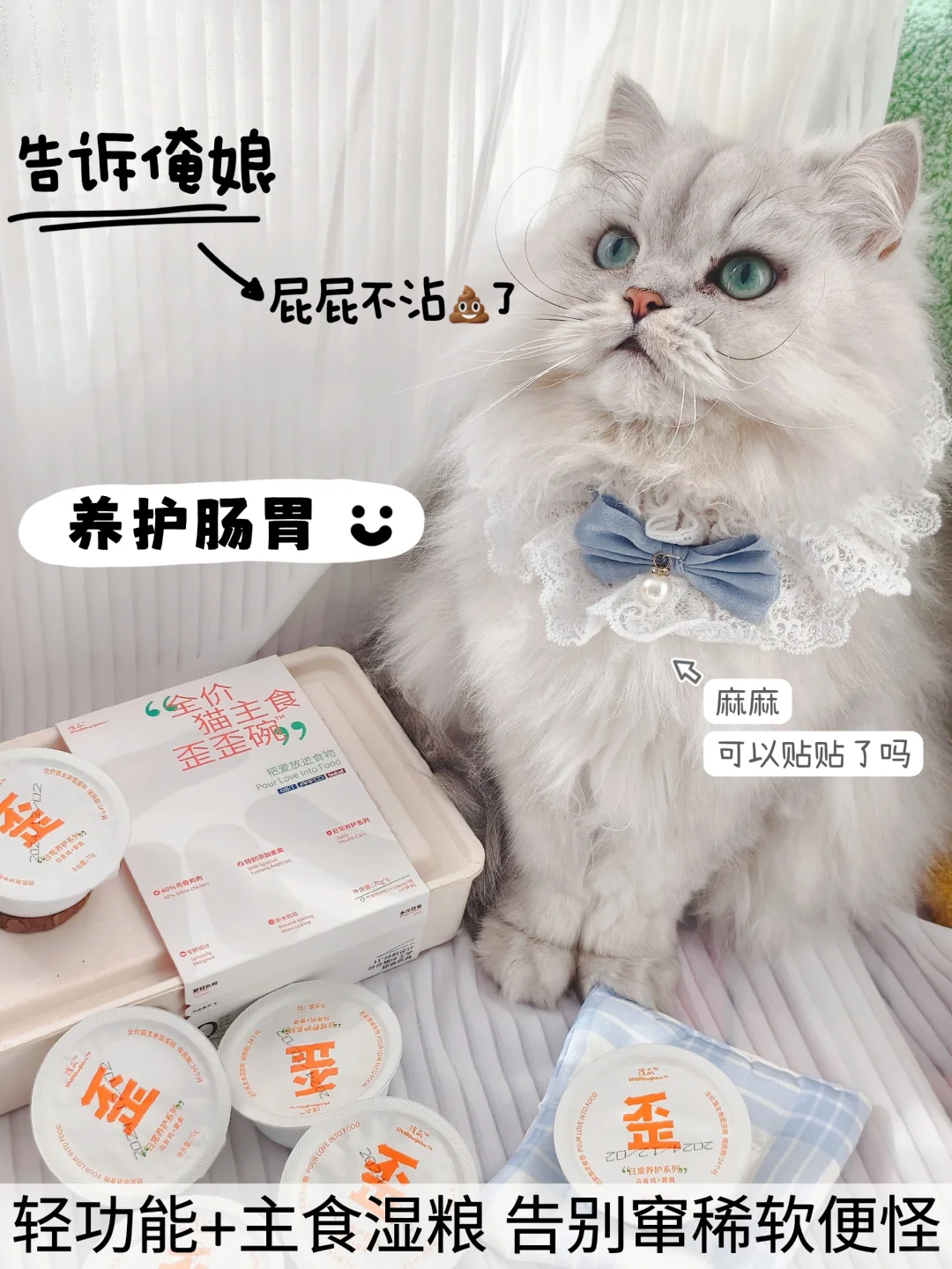 谁说猫咪软便没办法的，这办法可太好了