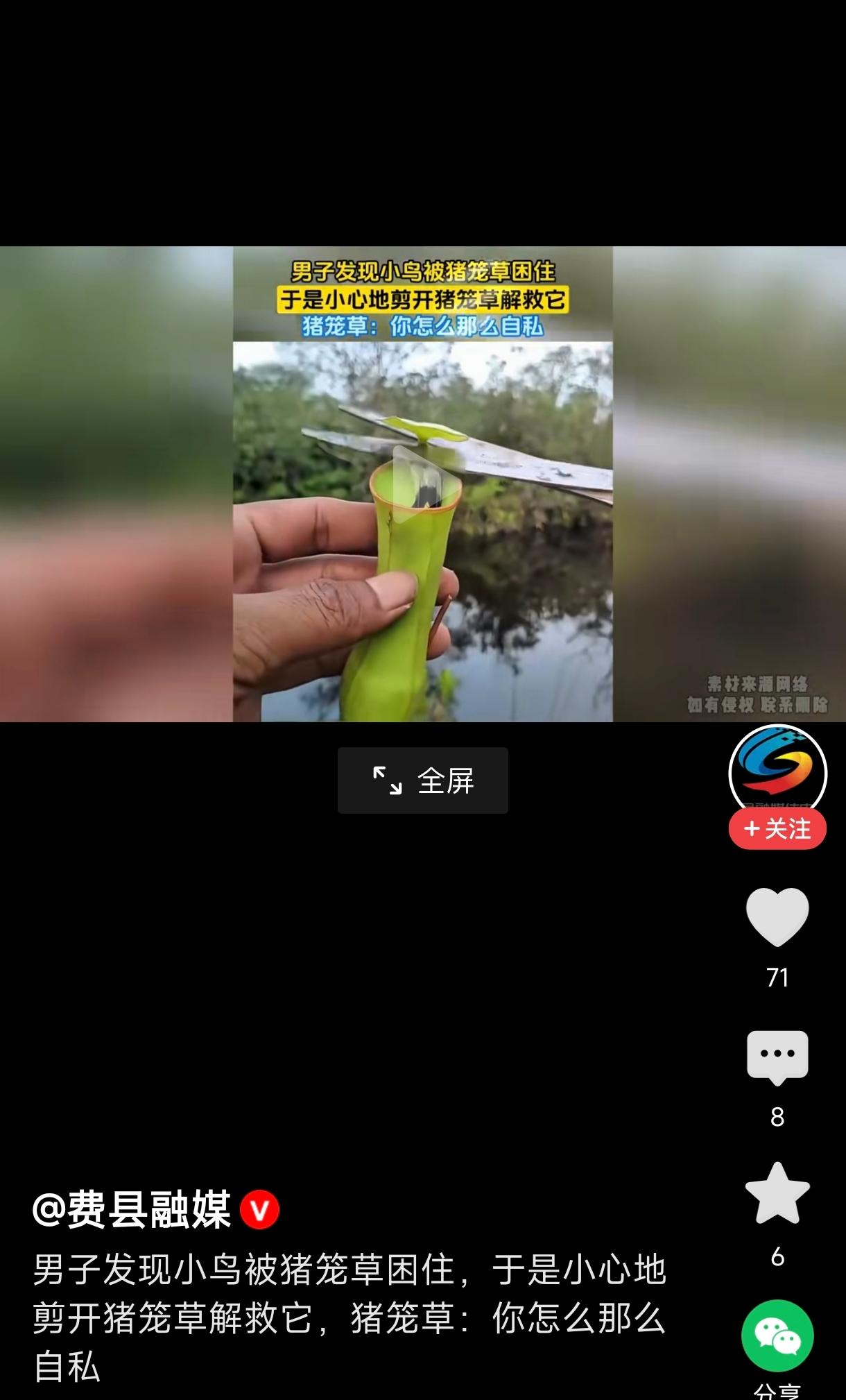 男子发现小鸟被猪笼草困住出手相救
         


男子：别怕，我来帮你！