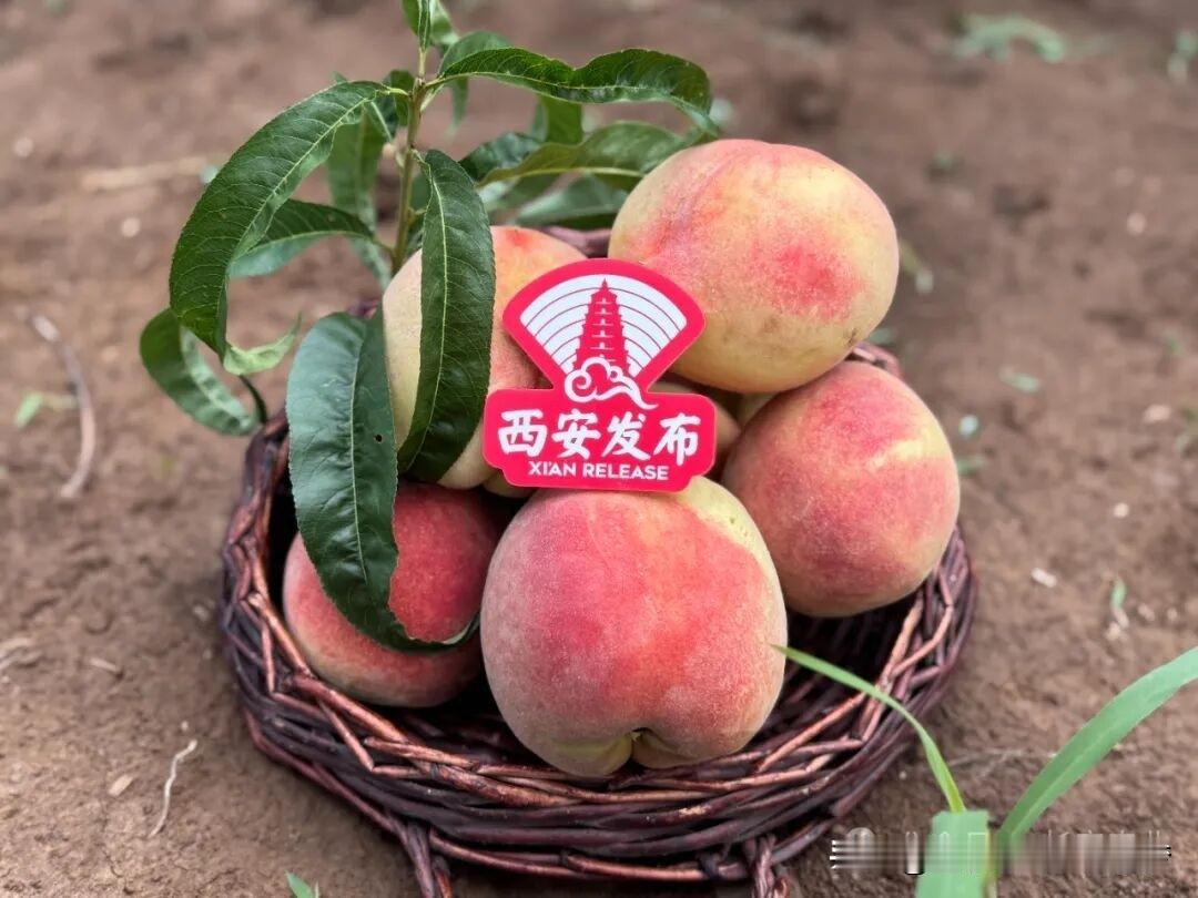 南江远）