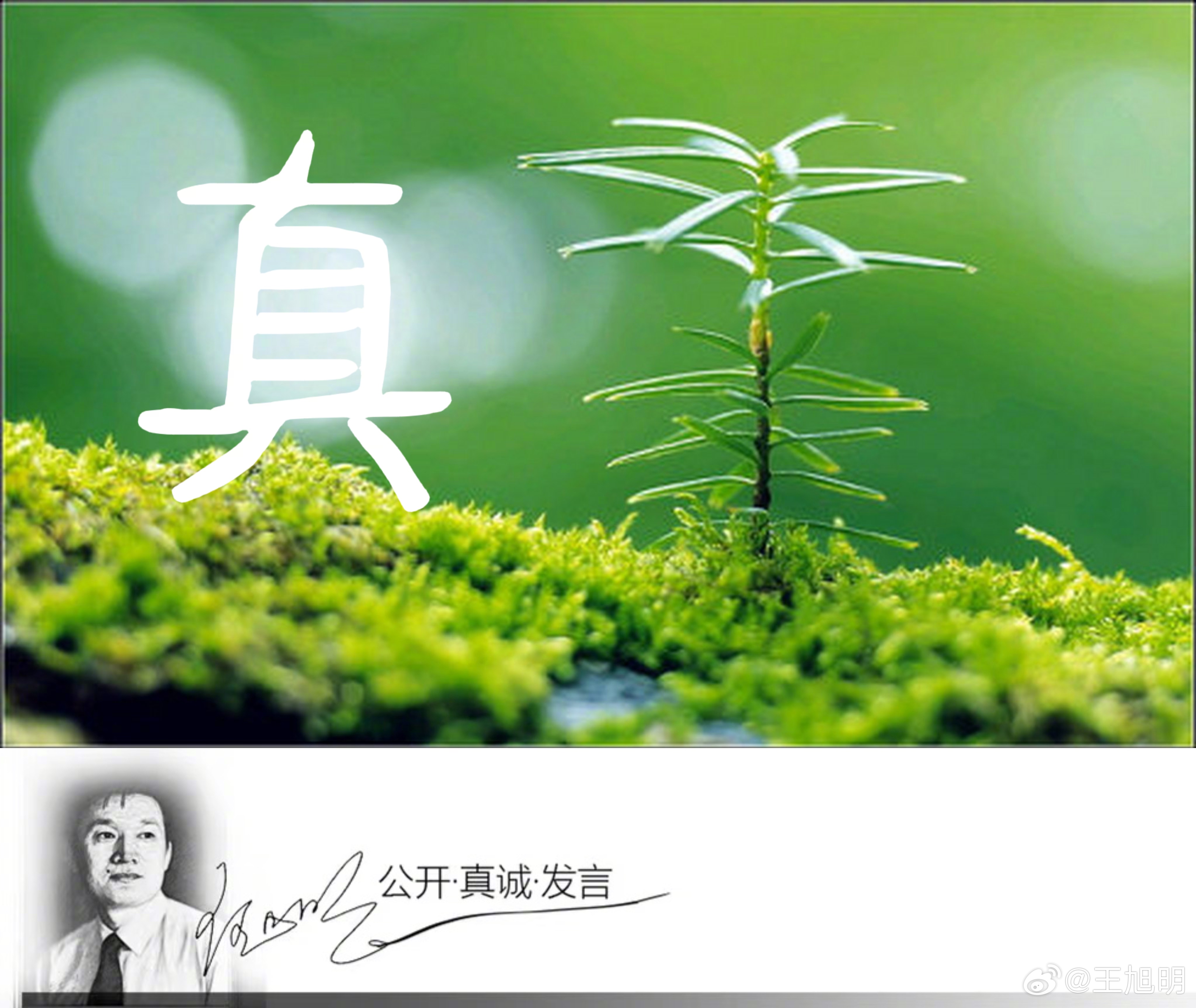 #明说真教育#孩子最可贵的天性不是知道了什么，而是无穷尽地寻问为什么；孩子的天性