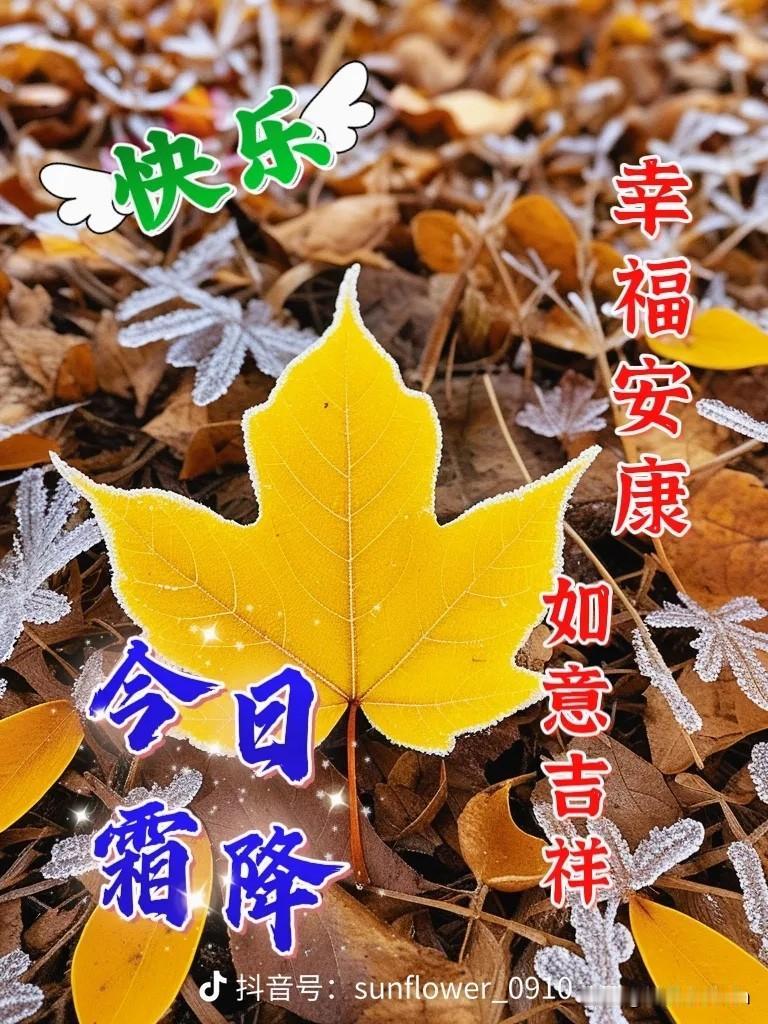 2026′10′23
今天霜降
又是一年霜降日
便是一季转冷时
霜降霜降
喜从天