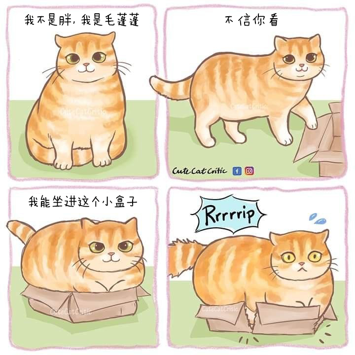 我总是时不时觉得自己应该开始疯狂减肥，于是就在镜子前拍一张“减肥前”的照片，但我
