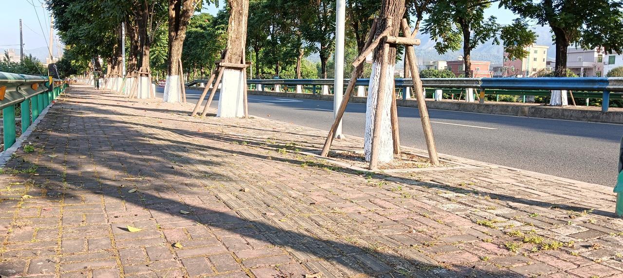 树墩上白装，满地秋落叶，转眼间又来到了2025年。人生就是如此，年轻时放荡贪玩不