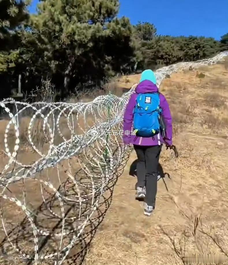 泰山疑被135公里刀片铁丝网围住 被一百多公里的滚筒式刀片铁丝网盘踞，泰山一下子