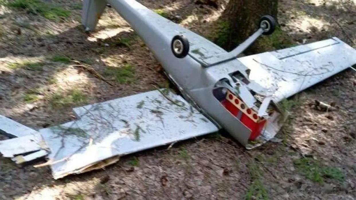 俄国防部：挫败基辅政权实施恐怖袭击的企图

来源:俄罗斯卫星通讯社

俄罗斯卫星