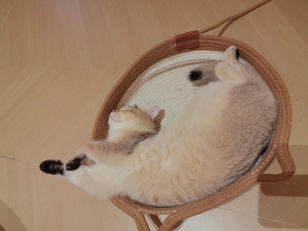 自己把自己的生活过好就可以了这辈子感悟