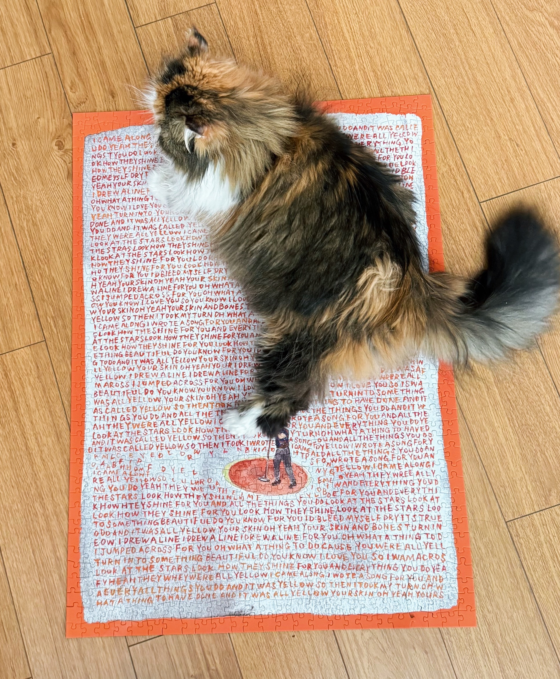 拼完，特邀大肥猫一只做大小参照 