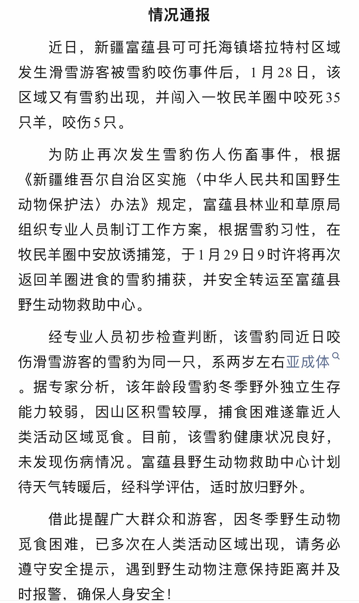 【#官方通报咬伤滑雪游客雪豹再咬羊#】 1月30日，新疆富蕴县林业和草原局发布情