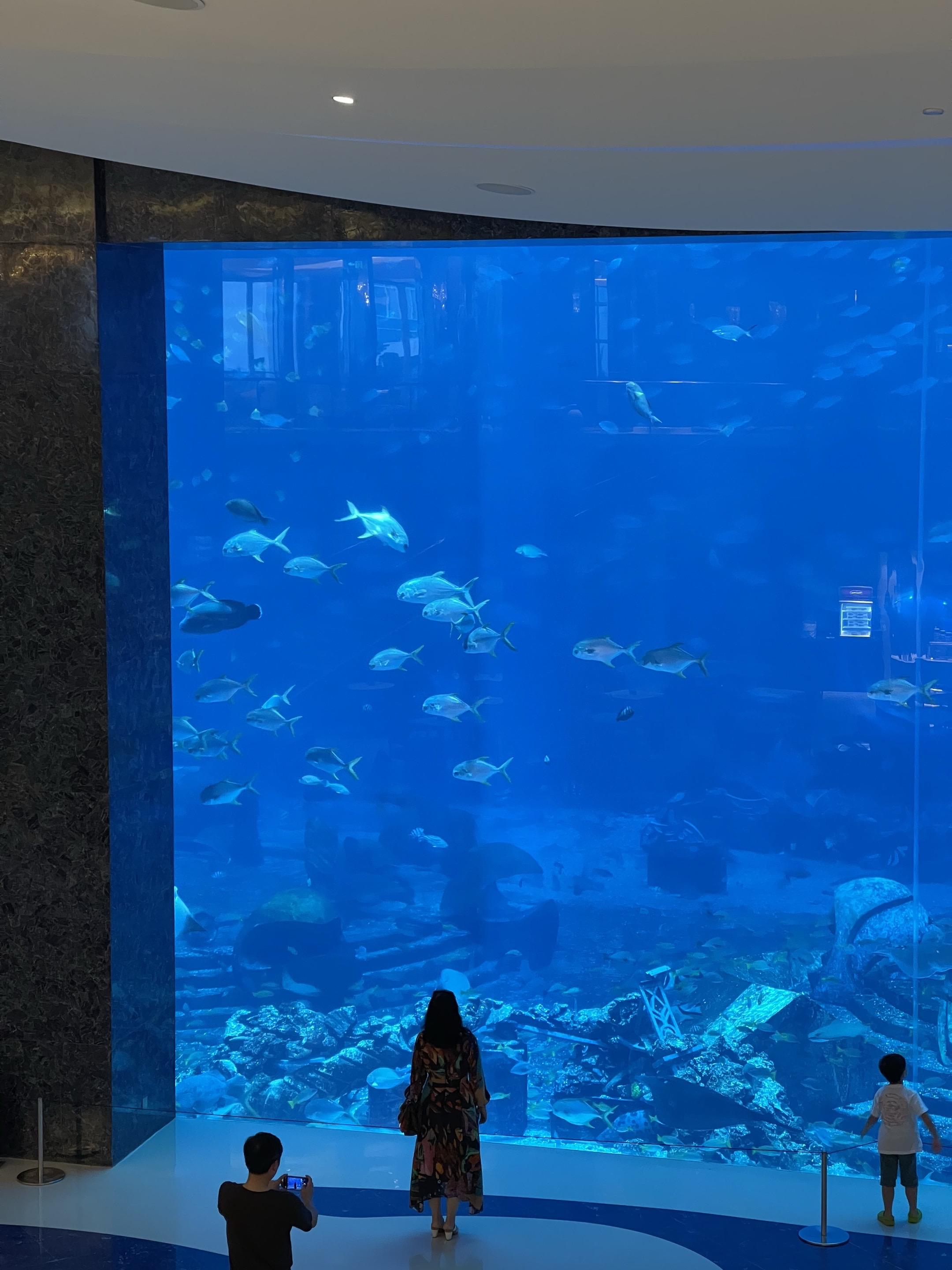 摄影师江欢三亚出海玩 三亚美食