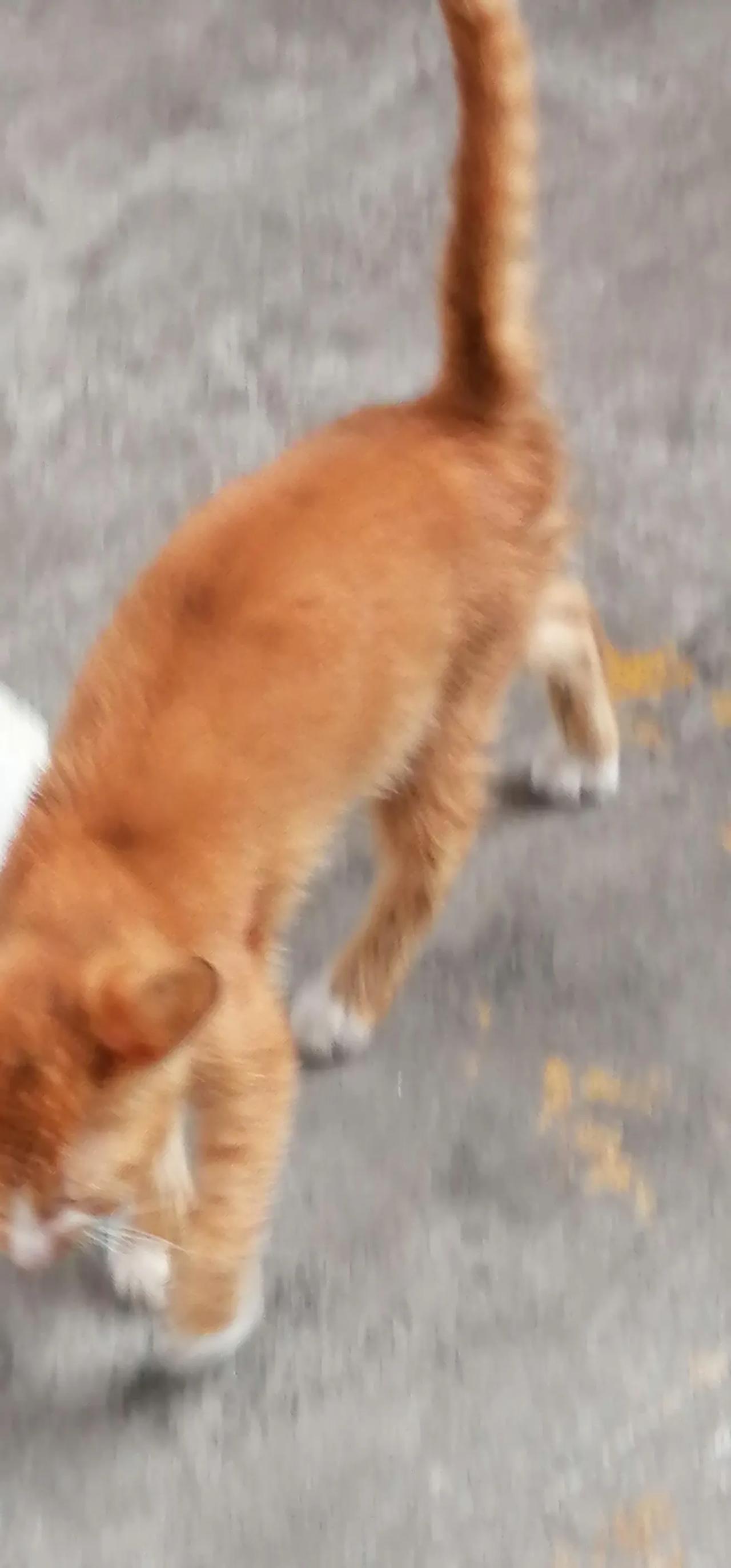大家围桌吃饭，有一句没一句地闲聊，老伴看到我放下筷子，在和儿子他们说笑，就像突然