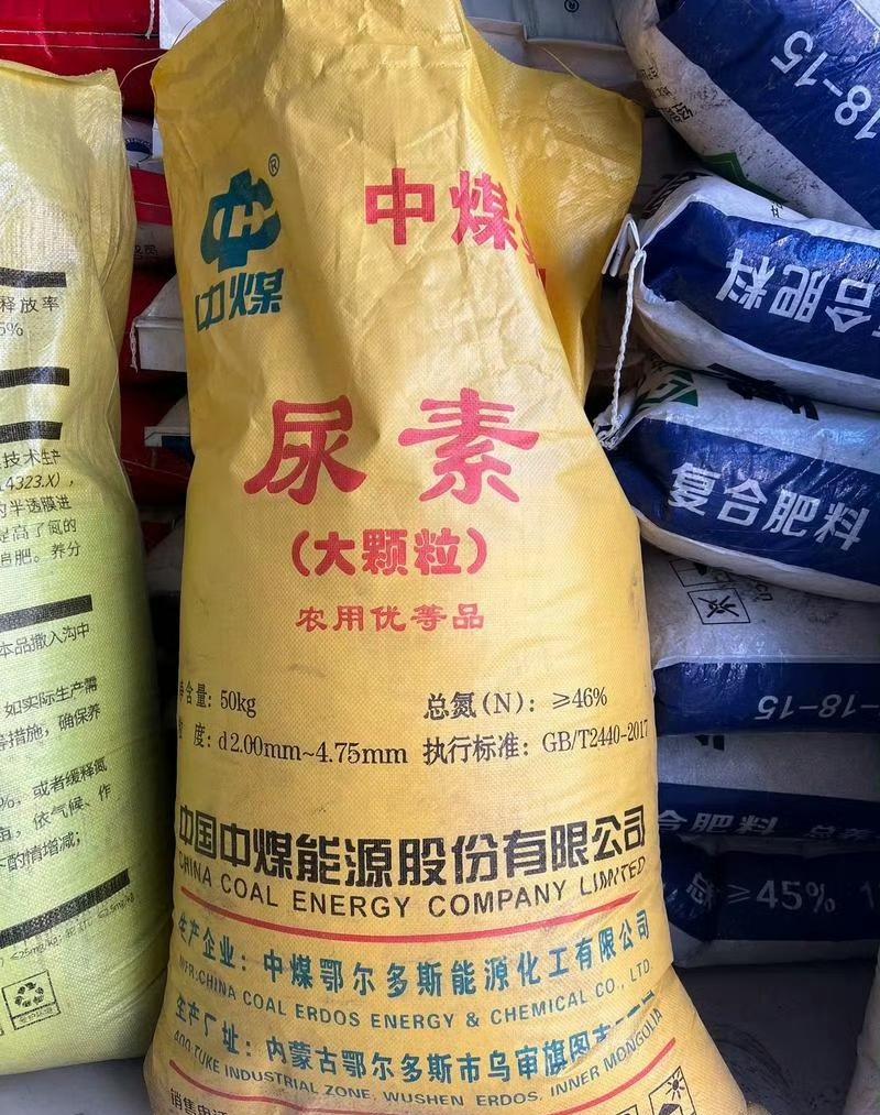 大家都在谈论着，发生波斯湾的战争会影响油价。但是我想说，油价贵了，大不了少开车吗