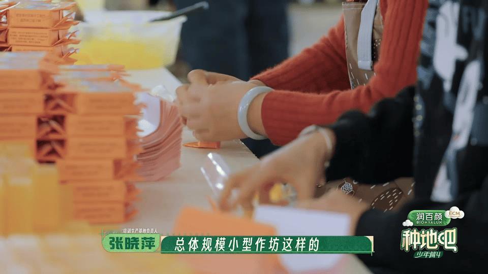 种地吧4先导片 种地吧太好哭了！种地吧第四季先导片如约而至，熟悉身影回归瞬间拉满