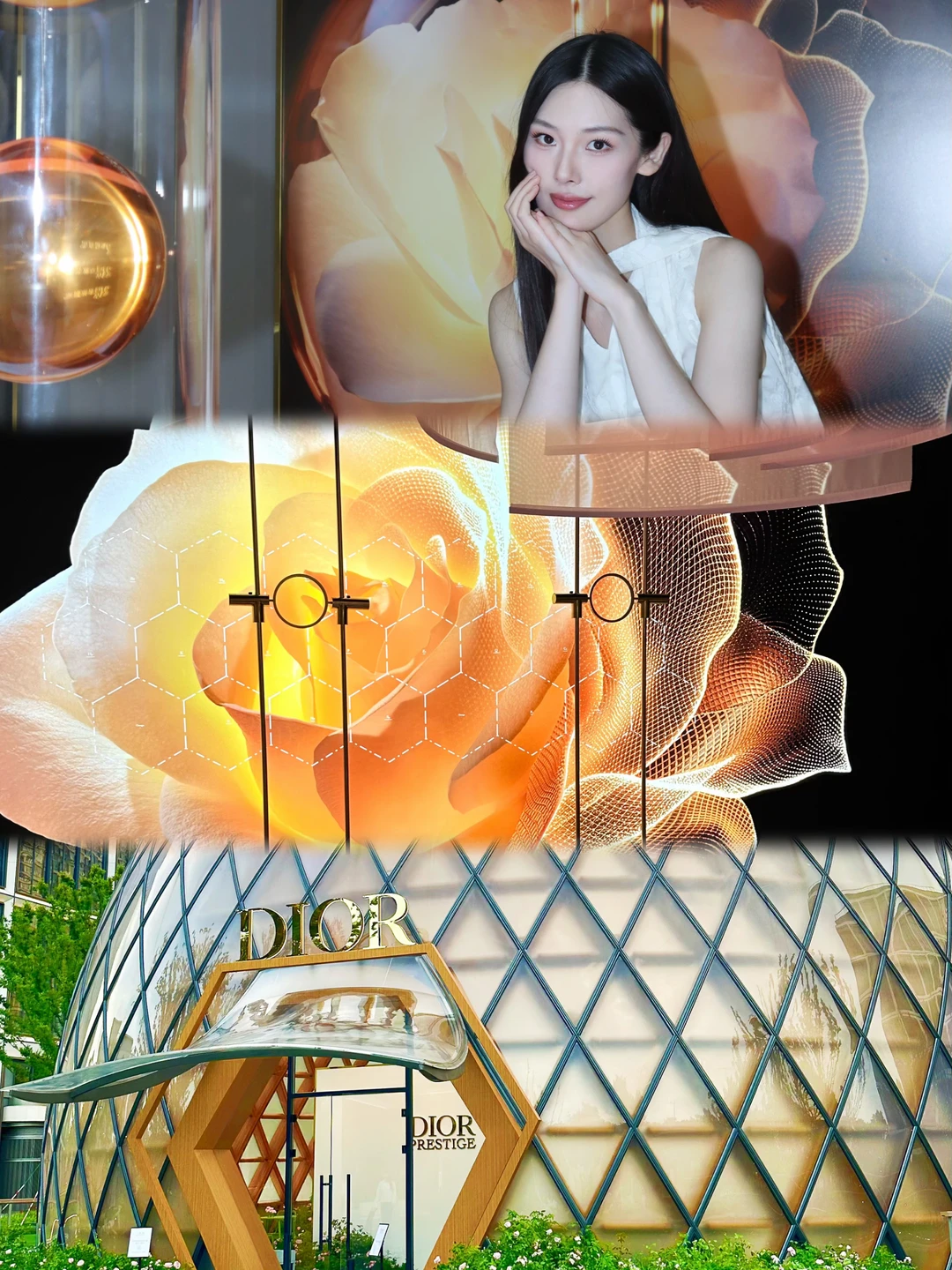上海看展｜ 漫游迪奥花秘匿龄限时展