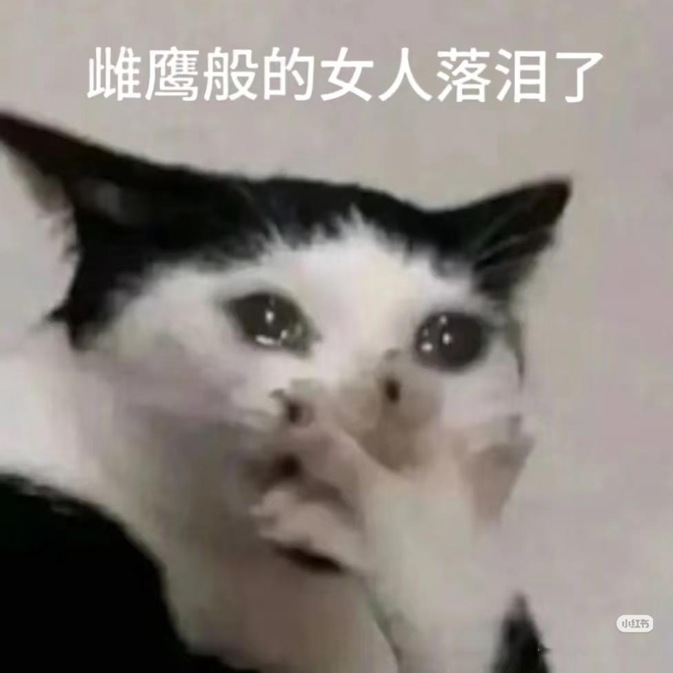 22000热度才给我们京城奇探开第二季吗，鹅，你把我们糊糊剧当成啥了，马路牙子们