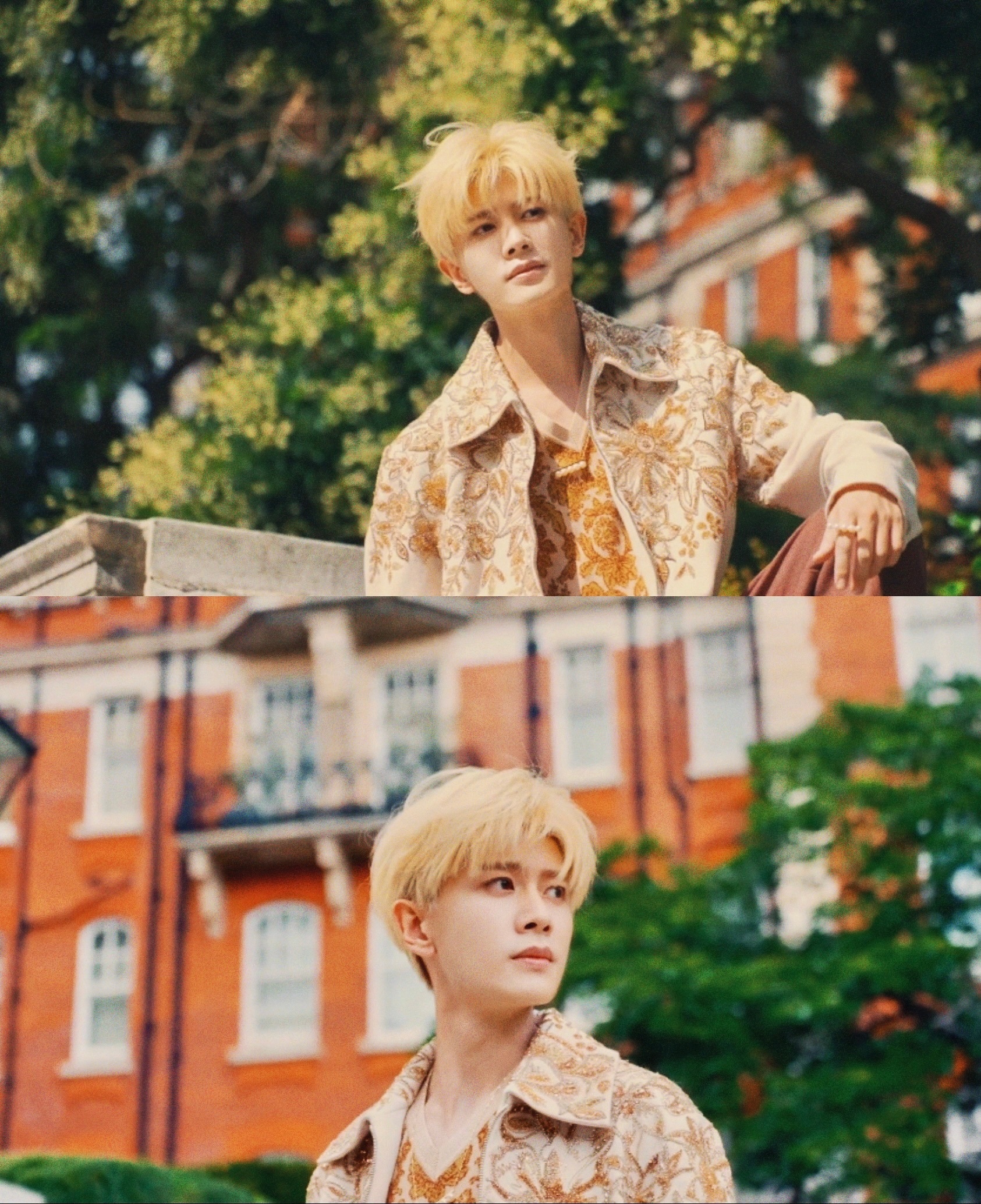 任嘉伦  我对你是招摇过市、明目张胆、溢于言表的喜欢❤️任苒时光  💛任嘉伦佳
