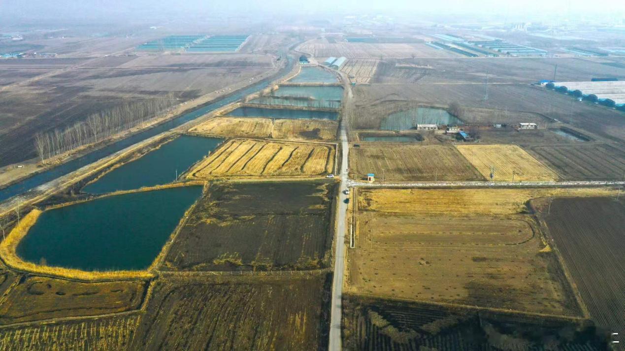 948快讯 【筑路引水培沃土 台安农田“化零为整”迎春耕】近日，辽宁鞍山台安县高