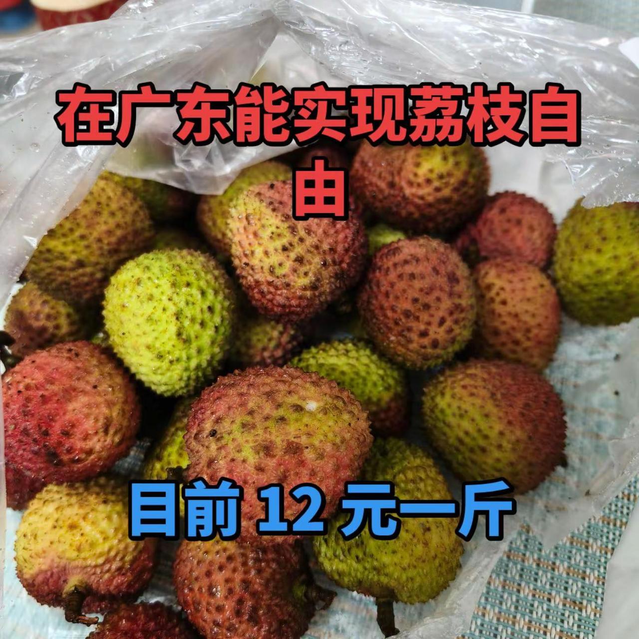 在广东就是好，荔枝随便吃！你们所在城市荔枝多少钱一斤啊？你最多能吃几斤？我一次能