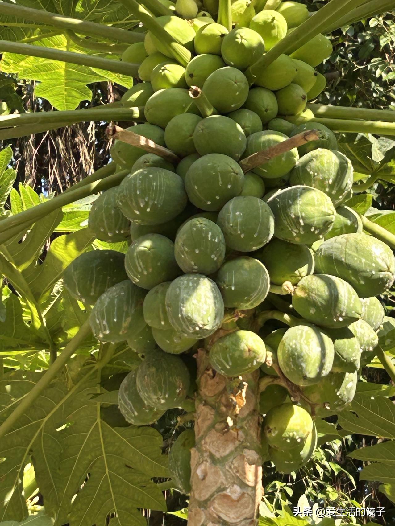 有时候真觉得时间不够用，时光一去再也回不来。

人和人最终拉开的差距，大多不是因