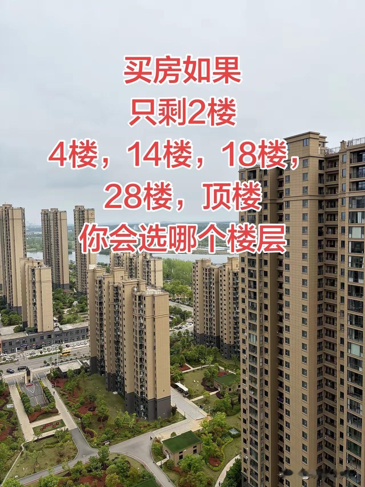 我选顶楼，懂的都懂。