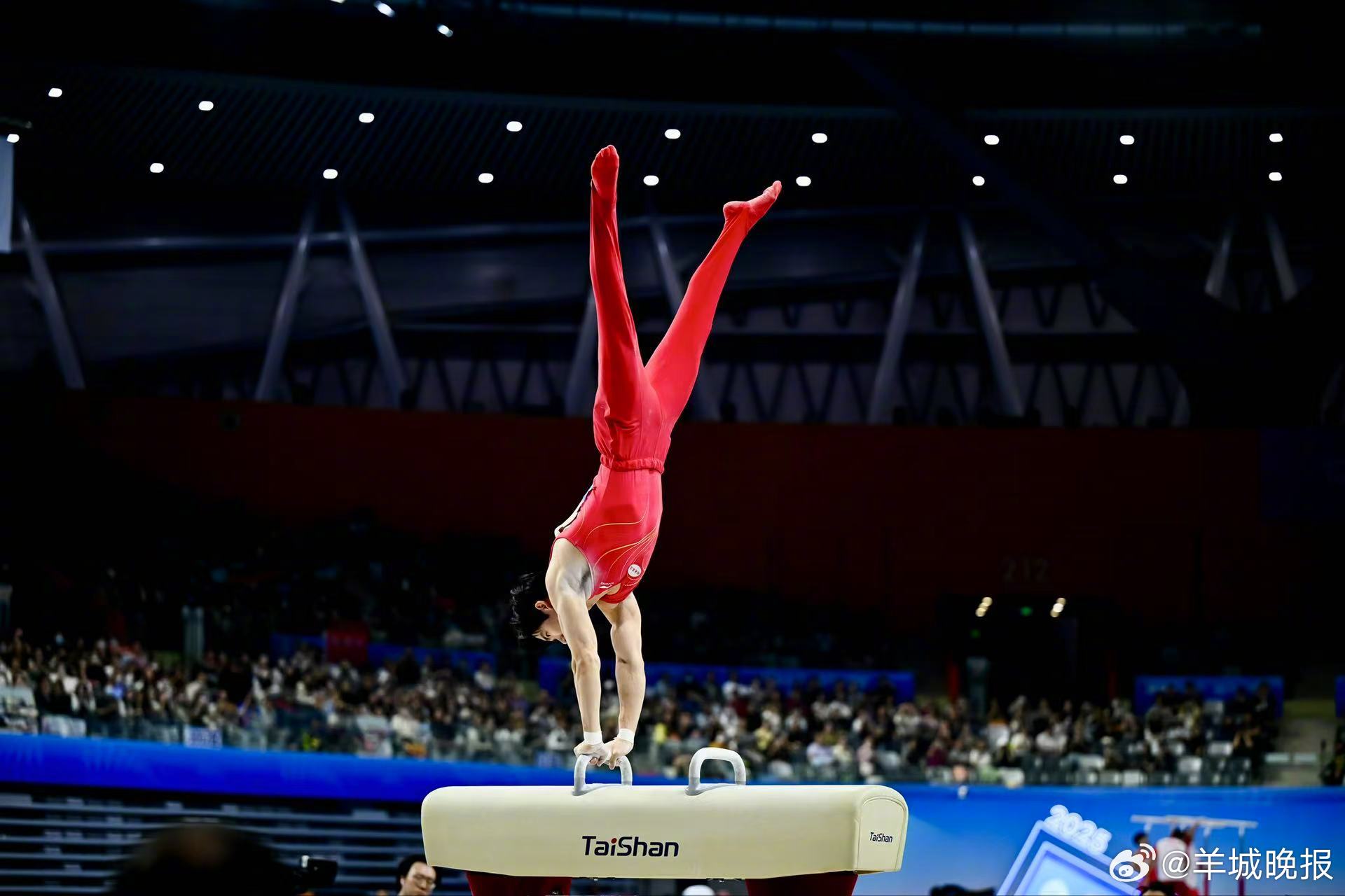 【】有遗憾，才能成长！十五运会体操男子个人全能决赛，张博恒 再次获得全运会该项目