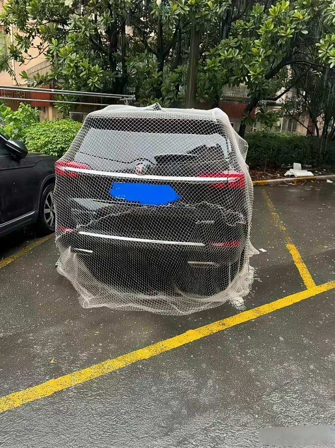 很少看到给车“挂渔网”的，其实是防落叶，如下雨天树叶落车上，不及时清理就粘到车上