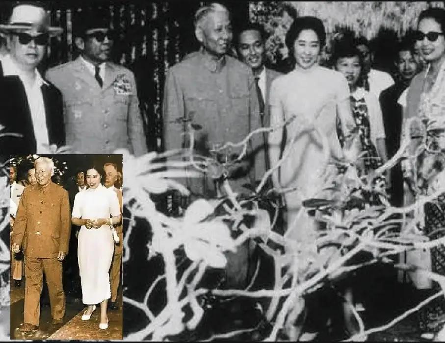 1963年刘少奇出访东南亚，带上王光美一同亮相，直接给全国老百姓开了眼界，当时妥